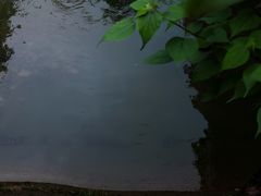 -碧海湾山海峡漂流