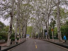 -东湖听涛景区
