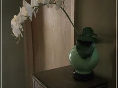 -御手国医·古法经络调理(光华店)