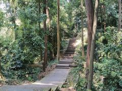 -凤栖山