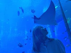 -亚特兰蒂斯•OSSIANO奥西亚诺海底餐厅
