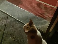 -江湖边·小生活