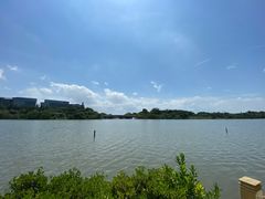 -华侨城湿地公园