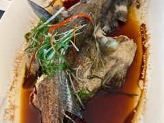 -蜈支洲岛珊瑚酒店临海阁中餐厅