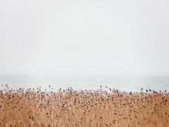-双山岛