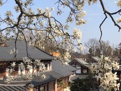 -径山寺