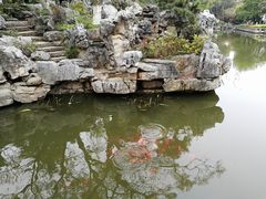 -红梅公园