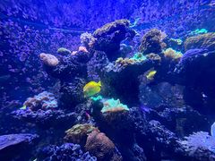 -海合安天津极地海洋公园