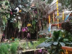-正佳雨林生态植物园