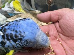 -三旗百汇商品城