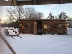 -沈阳奥体冰雪嘉年华