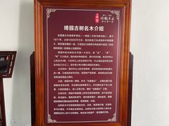 -绮园景区