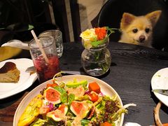 -Nord Grill&Bar Highland诺德西餐(深圳欢乐海岸店)