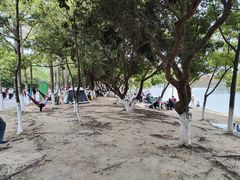 -凤岗南门山森林公园