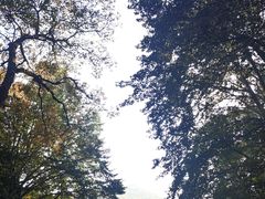 -九曜山
