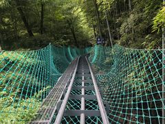 -藏龙百瀑风景区