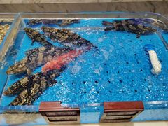 -箸福·夜上海(雨花客厅店)