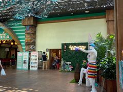 -杭州开元森泊度假乐园