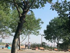 -瑶湖郊野森林公园