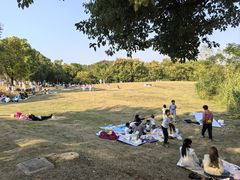 -盘龙城国家考古遗址公园