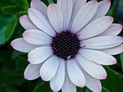 -羊亭河湿地公园