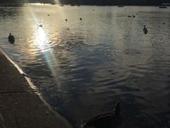 -海德公园