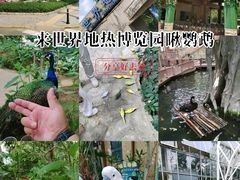 -世界地热博览园