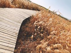 景点-野鸭湖国家湿地公园