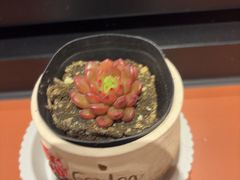 -必胜客(上海华谊新所店)