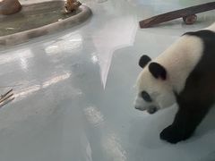 -柳州市动物园