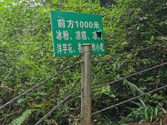 -龙窝子