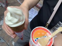 -富豪雪糕车流动点(尖沙咀店)