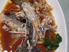 -刘胖子家常菜·蹄花焖藕(富安街店)