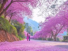 -桃花涧