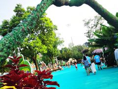 -苏州乐园森林水世界