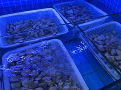 -江南村海鲜馆(洞头店)