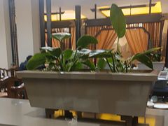 -二分八云雁阁•新晋菜大同味(长治路店)