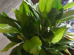 -北纬37°SPA养身会馆(湖西店)