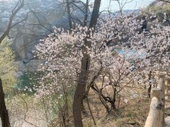 -妙峰山风景名胜区