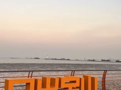 -吴淞炮台湾湿地森林公园烧烤区