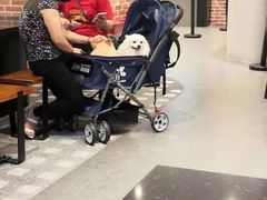 大堂-鹿角巷The Alley(龙湖天街店)