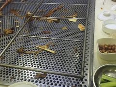 -西夏一品烤全羊(百桥路店)