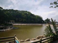 -广州市帽峰山景区