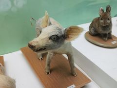 -国家自然博物馆