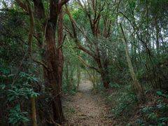 -马峦山郊野公园