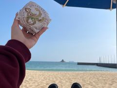 -大梅沙海滨公园