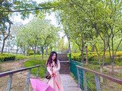 -长广溪湿地公园