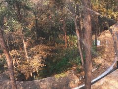 -东湖磨山景区
