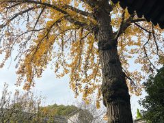 -惠山古镇·寄畅园