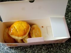 -津乐园(宜白路店)